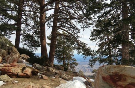 Palm Springs, CA - Up the Aerial Tram on top of San Jacinto mountain