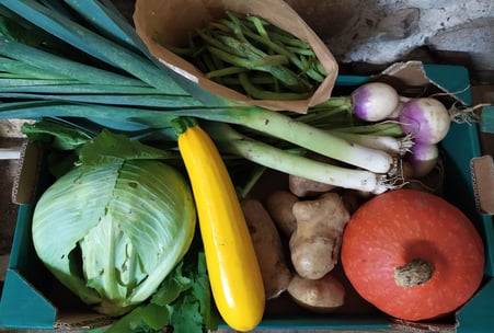 Panier de légumes bio