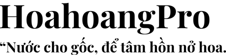 2Hpro logo