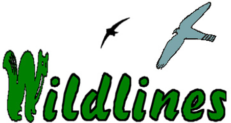 Wildlines logo