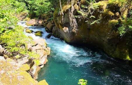 Waterfall Hwy, OR - Water changes from light blue to dark teal blue to emerald at Toketee Falls