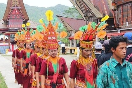 Toraja cultural tour