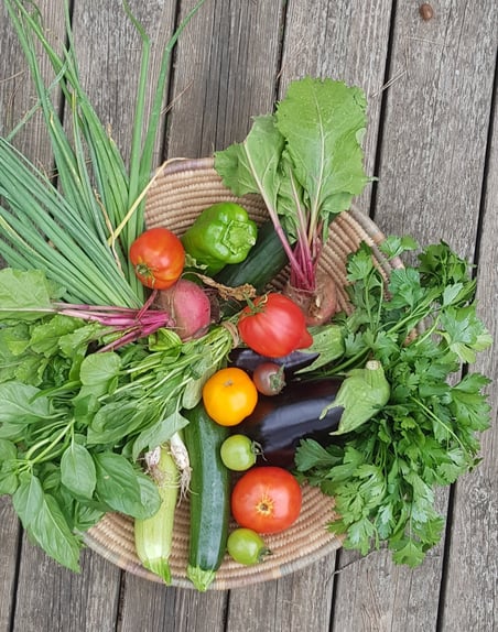 récolte issue d'un jardin écoresponsable: produire ses légumes, c'est prendre soin de la planète