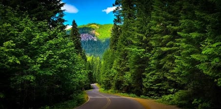 Waterfall Hwy, OR - Gorgeous views on Forest Rd on the way to Watson Falls