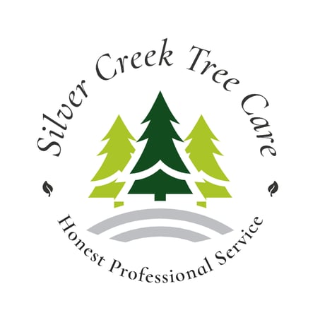 Silver Creek Tree Care, honest professional service, trees