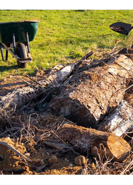 Yard Waste Removal by Waxhaw Strong Hauling & Junk Removal. Waxhaw, NC