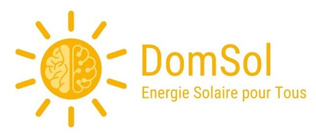 DomSol logo