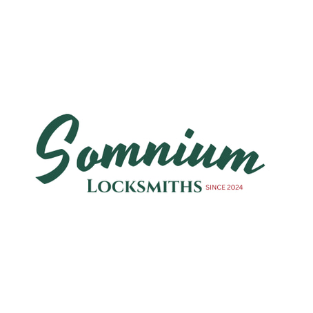 That Locksmith Fella logo