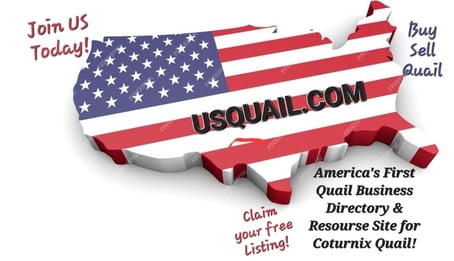 Coturnix, Quail, quail breeders near me, US quail, quail business, quail chicks, quail hatching eggs