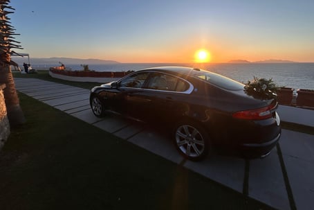 jaguar