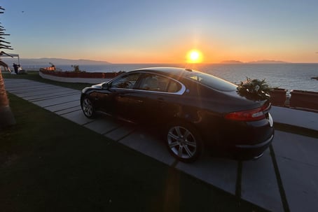 jaguar
