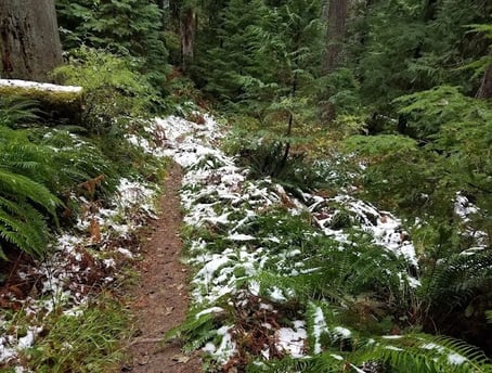 Powers OR - Coquille River Falls trail with snow on the ground