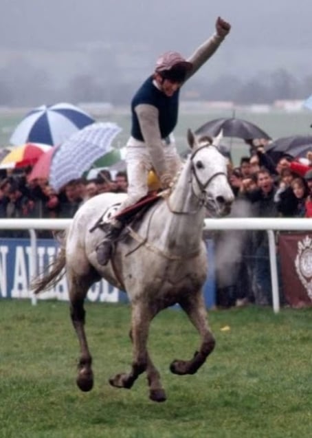 Desert Orchid WINS 1989 Cheltenham Gold Cup and I WAS THERE THAT DAY!