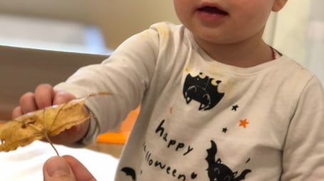 enfant qui prend une feuille