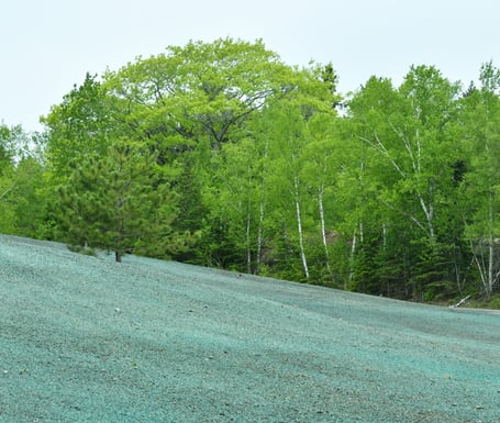 Kiemai.lt hidrosėjos paslaugos - dirvožemis, padengtas hidrosėjos mišiniu