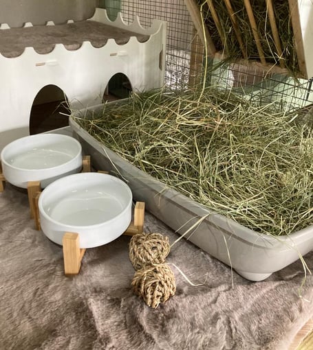 rabbit hay tray & ceramic bowls