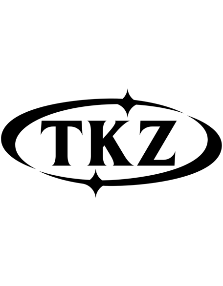 TEEKZ logo