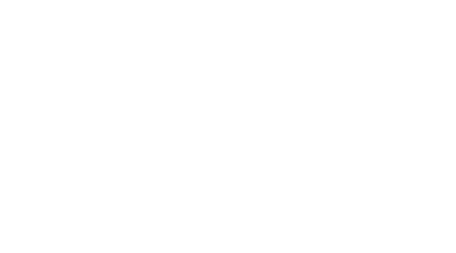 The Trading Prodigy  logo
