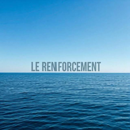 LE RENFORCEMENT logo
