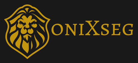 onixsegchile logo