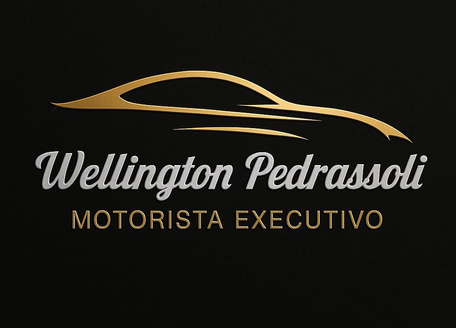 Motorista Particular WP logo