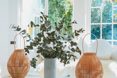 branches dans un vase devant une fenêtre donnant sur l'extérieur