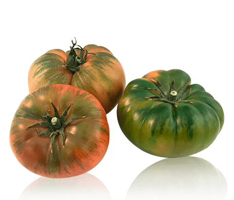 Tomaten unterstützen dein gesundes Abnehmen