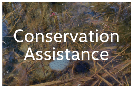 Conservation Assistance Tab