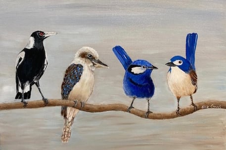Magpie, Kookaburra, and two Bluebirds
