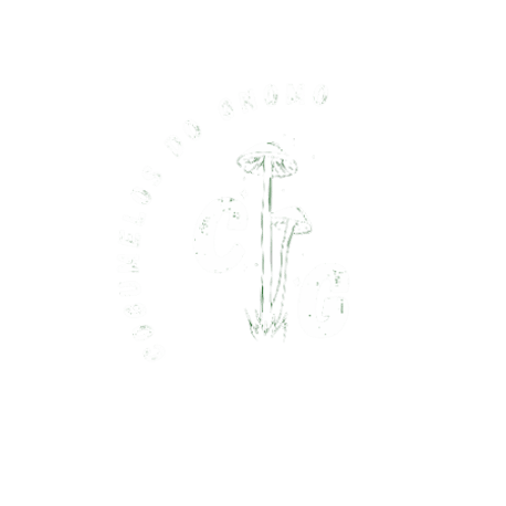 Cogumelos Dos Gnomos logo