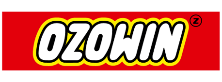 OZOWIN logo