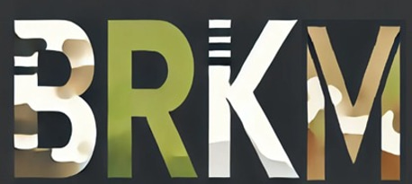 Birikim Savunma logo