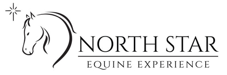 North Star Equine Experience logo
