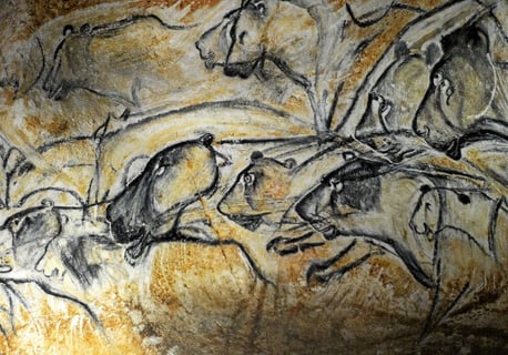 Photo représentant des gravures préhistoriques sur les grotte Chauvet en Ardèche