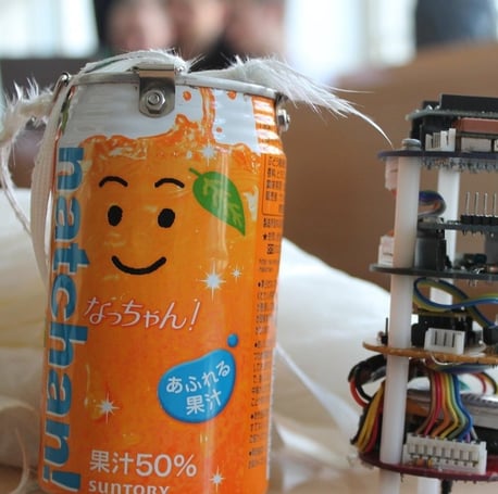 CanSat