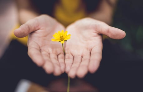 Photo mains et fleur de Lina Trochez sur Unsplash