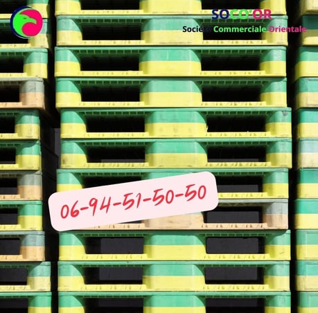 Palette Plastique Maroc