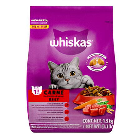 qué puede comer un gato