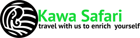 Kawa Safaris logo