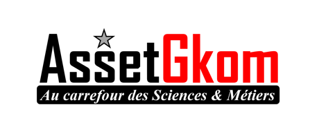 AssetGkom logo