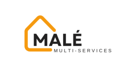 Malé multiservices logo