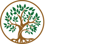 DeSouza logo