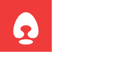 Thepolygonbear logo