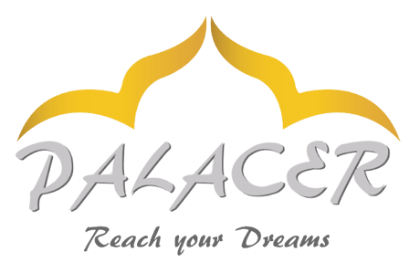 PALACER logo