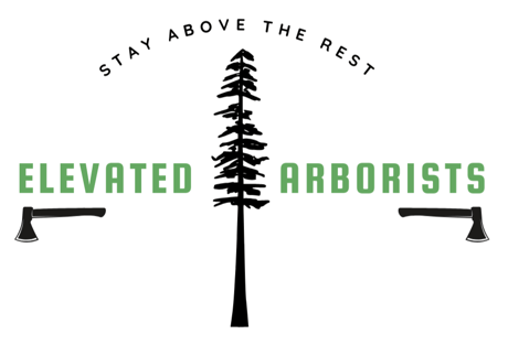 Elevated Arborists logo