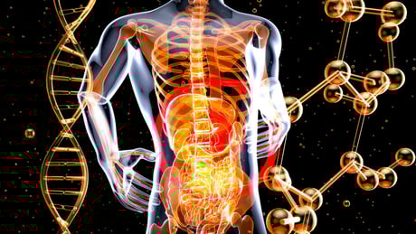 Nutrigenomics & Health