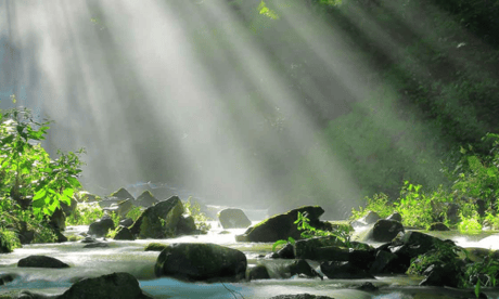 Discover the Amazing Health Benefits of Endoca's CBD Topicals and Wellness Products