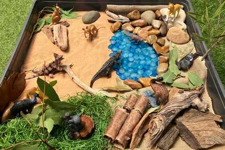 Explore the Australian outback with our small world tuff tray play.