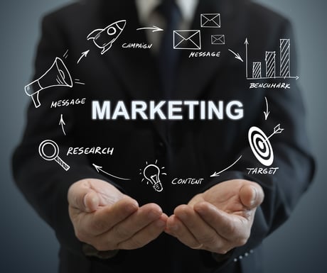 Strategie digitali di marketing per start up sostenibili