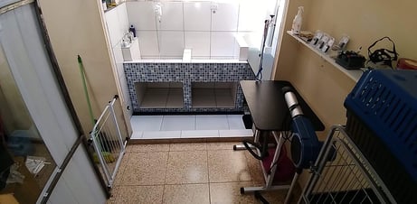 espaço para banho e tosa da miau